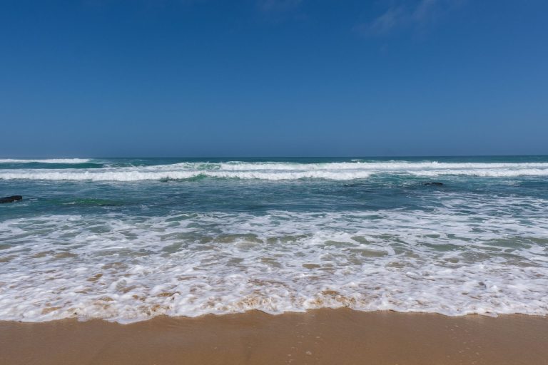 Investir dans un terrain fa&ccedil;ade sur mer