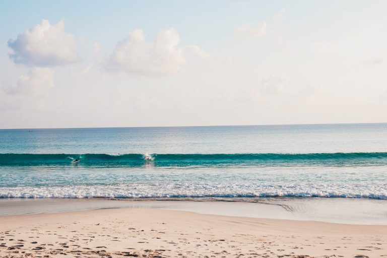 Un terrain de 5000 metre caree magnifique