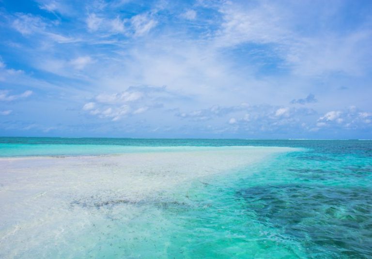 Bonne affaire pour investir au bord de la plage