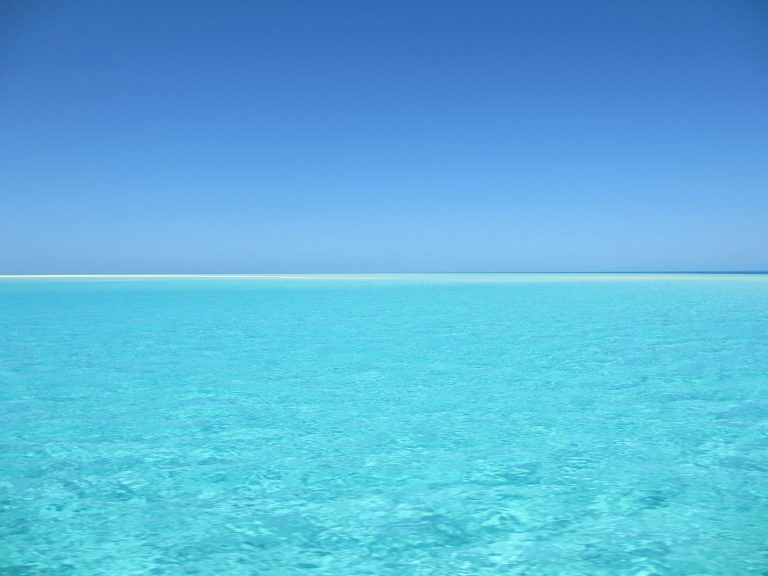 Terrain pied dans l'eau &agrave; ne pas rater