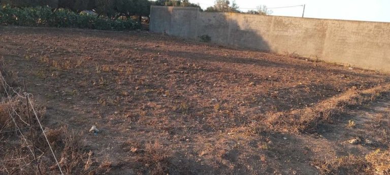 Terrain de 558m &agrave; k&eacute;libia