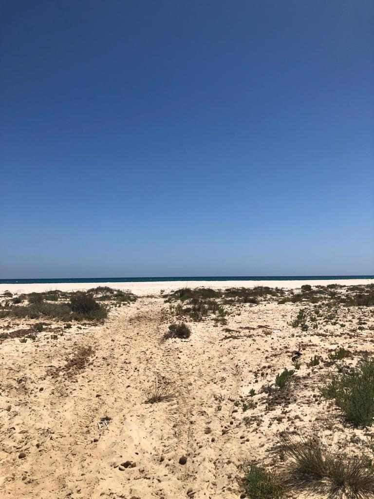 Terrain &agrave; bouficha ain rahma vue sur mer