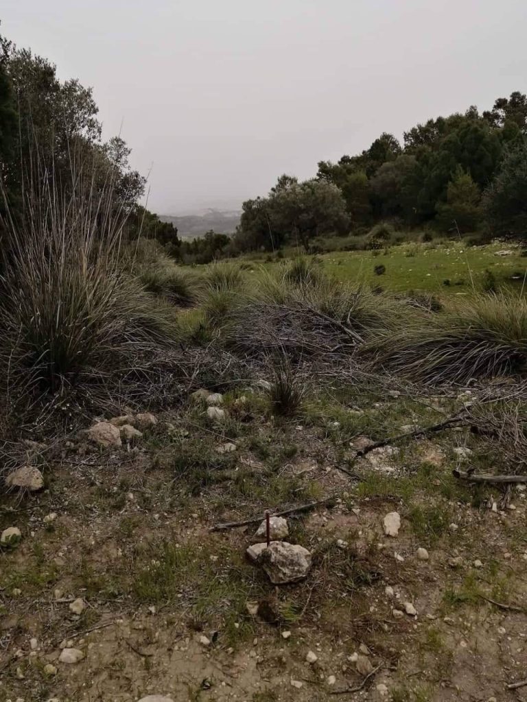 Terrain hectare et demie