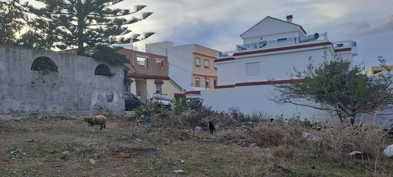 Av terrain ras jebal 273 m constructible