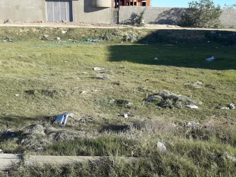 Lot viabilis&eacute; &agrave; 1 km de mansoura kairouan