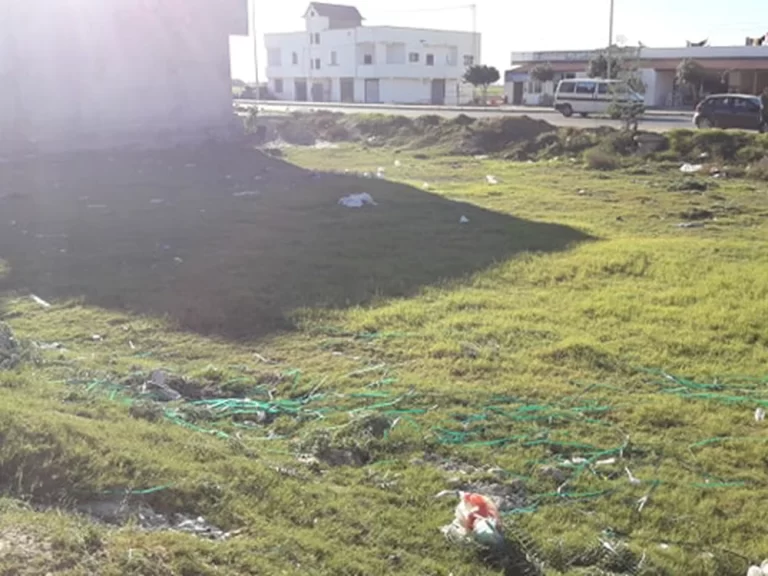 Lot viabilis&eacute; &agrave; 1 km de mansoura kairouan