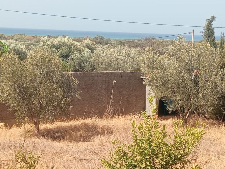 Villa a rtiba