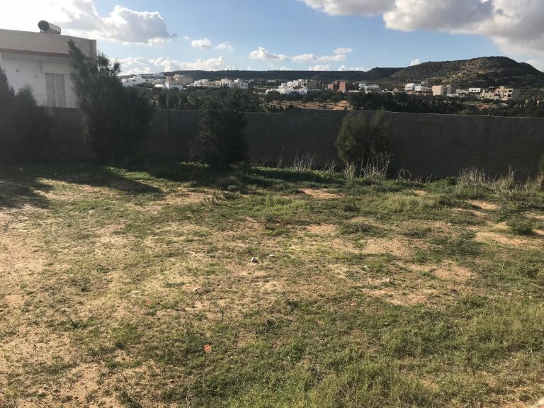 Terrain a el merezka hammamet