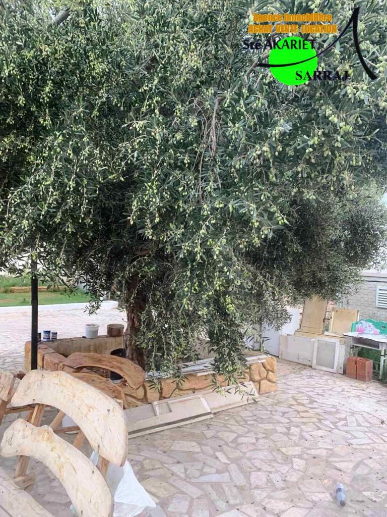 Senia cl&ocirc;tur&eacute; entre kalaa kbira et kalaa sghira