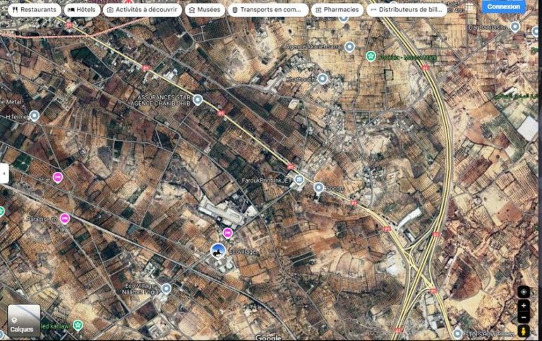 Terrain 7000m plant&eacute; oliviers en face ecovillage