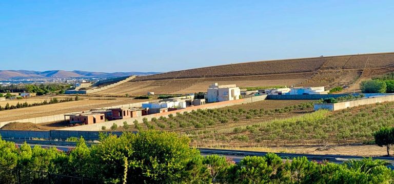 Terrain 160m &agrave; sidi thebet