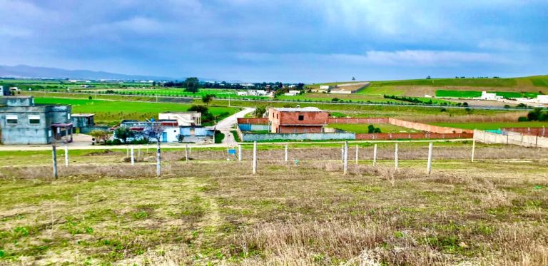 Terrain 320m a 50000