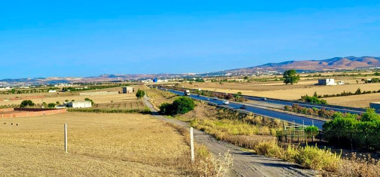 Terrain 160m a 25000dt a sidi thebet chorfech 2