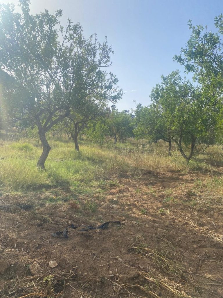 Ferme agricole a menzel tmime