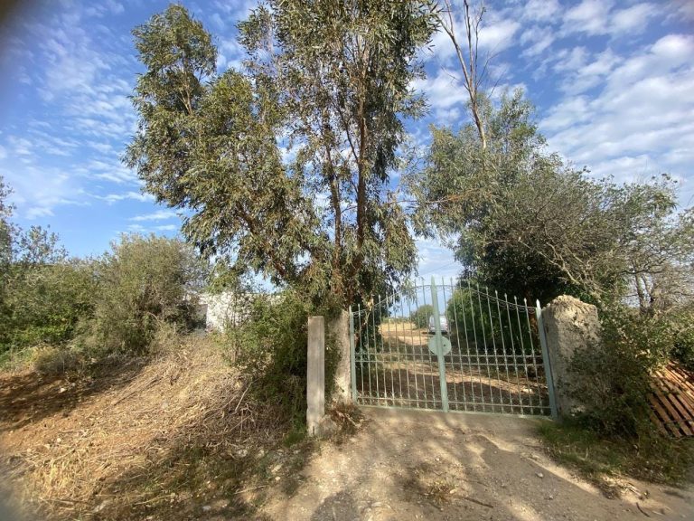 Ferme agricole a menzel tmime