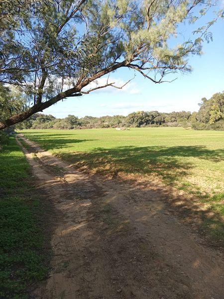 Terrain gammarth tunis