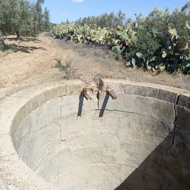 Av terrain 3000m avec des oliviers &agrave; hammamet sud