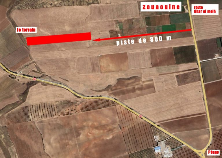 Terrain agricole &agrave; zouaouine utique