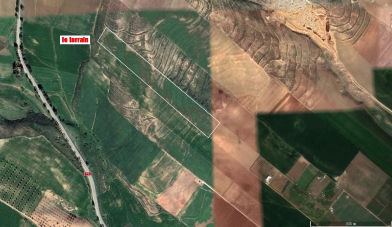 Terrain agricole &agrave; zouaouine utique