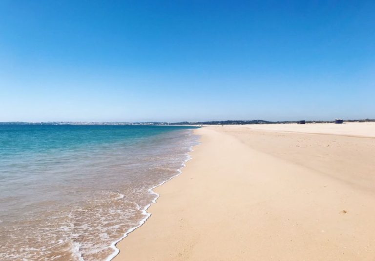 Offre sp&eacute;cial de 1000 metre caree &agrave; kelibia
