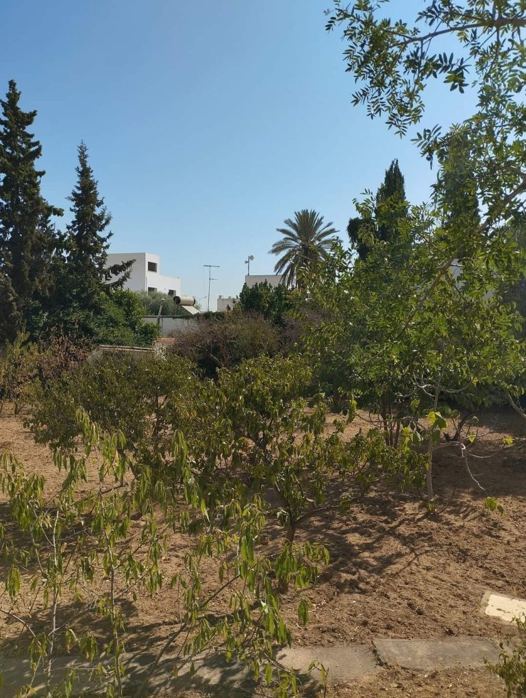 Terrain menzah4 903m2