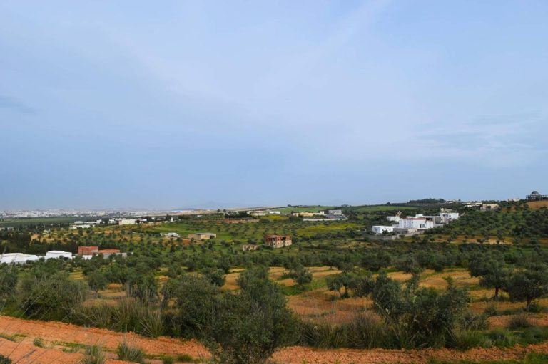 Des terrains oued ellil essaida