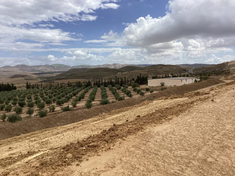 Terrain agricole
