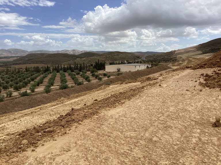 Terrain agricole