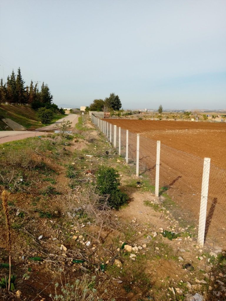 Beau terrain