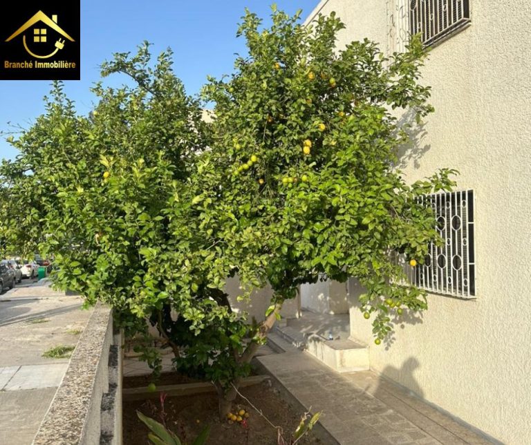 Une jolie villa &agrave; manar 2