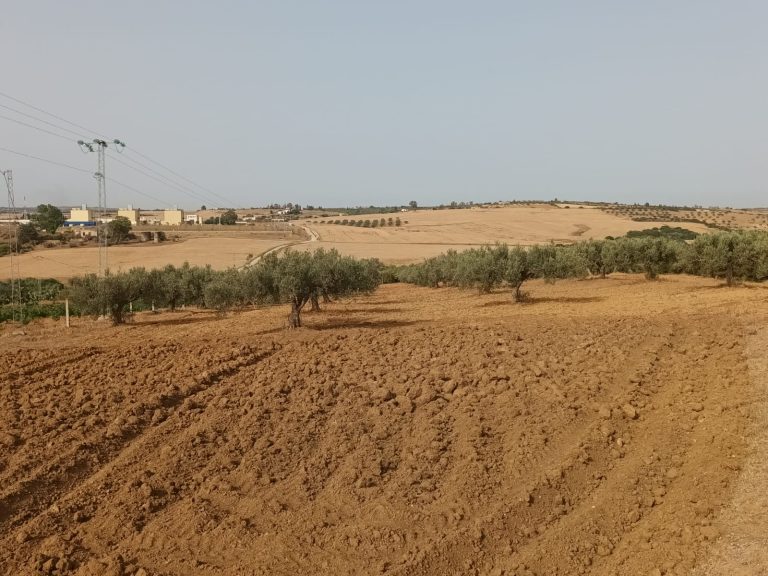 Terrain agricole &agrave; gobbet lagha