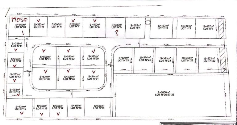 Des lots de terrain &agrave; boumhal el bassatine
