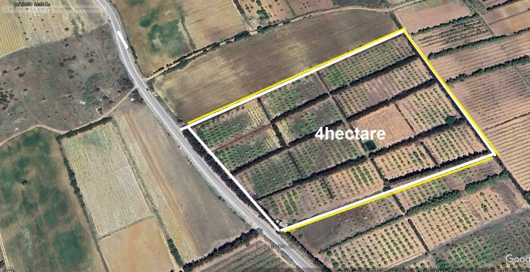 4 hectare nabeul