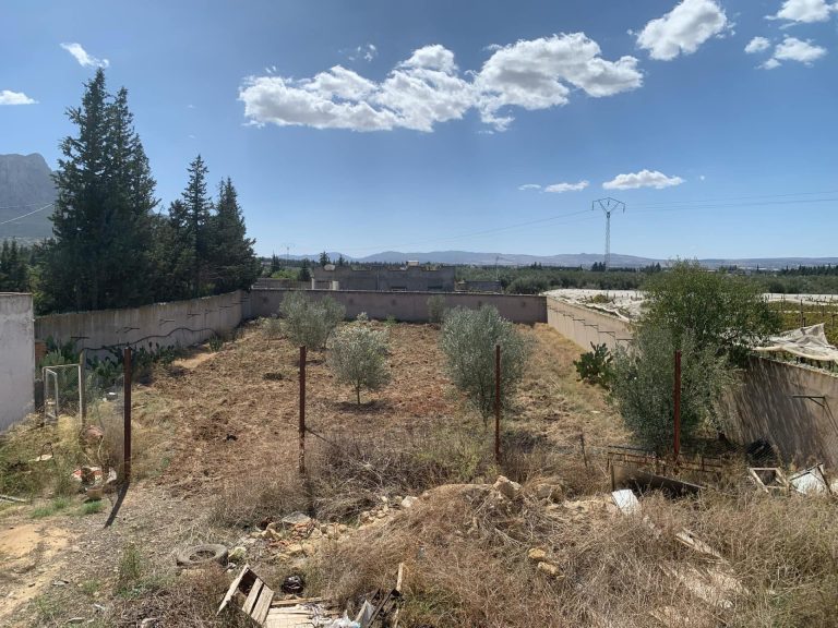 2 terrain &agrave; morneg de 500m2 le terrain