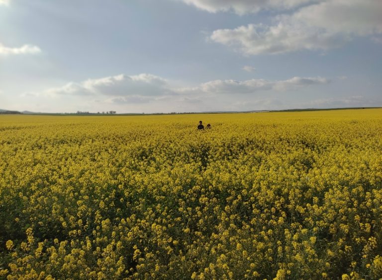 Très belle opportunité pour un terrain côté plage