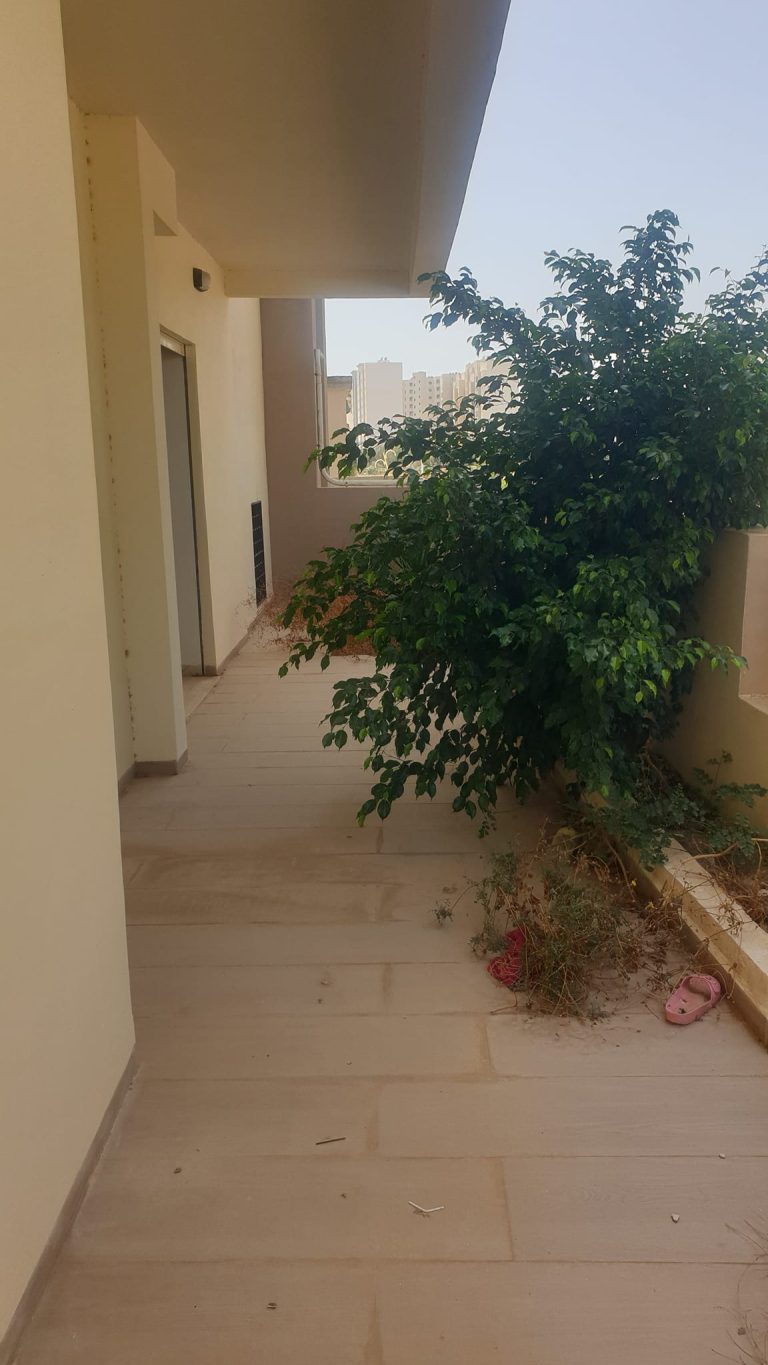 Duplex jamais habité