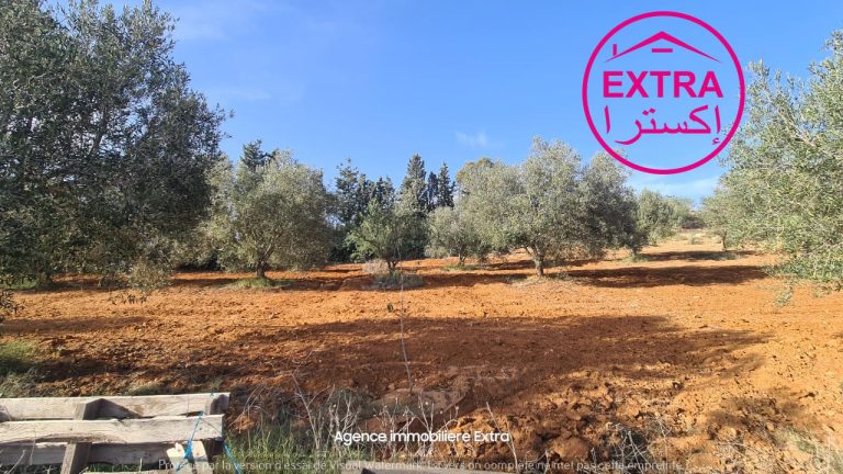 44eme campagne &agrave; ghardeya nabeul