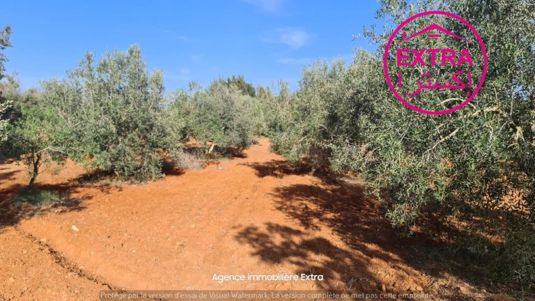 44eme campagne &agrave; ghardeya nabeul
