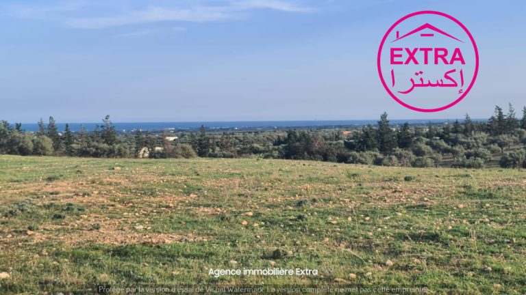 Campagne &agrave; somaa