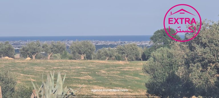 Campagne &agrave; somaa
