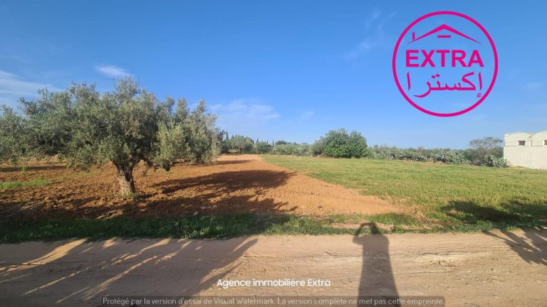 7eme campagne &agrave; somaa