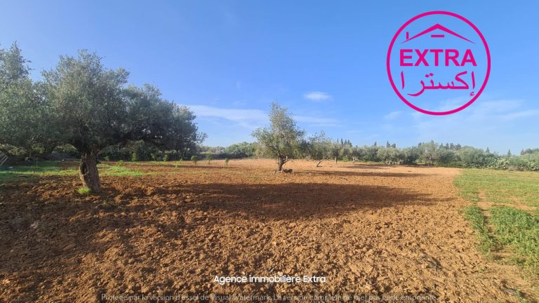 7eme campagne &agrave; somaa