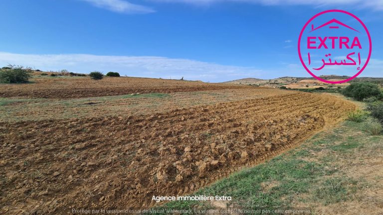 Hectare a ghardeya