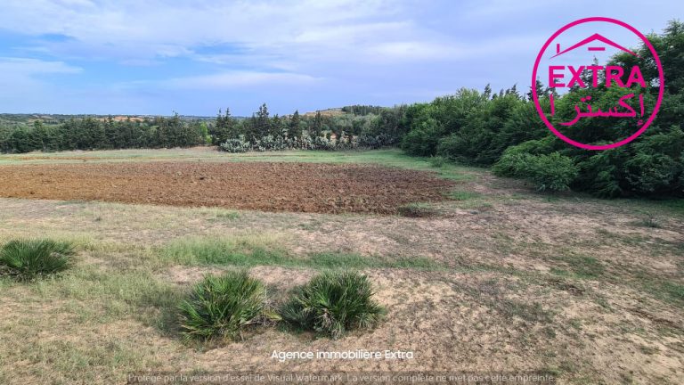 Hectare a ghardeya