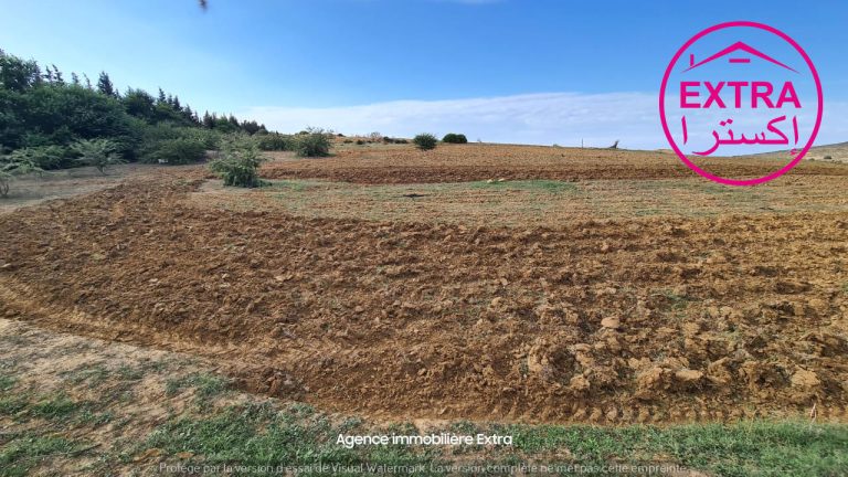 Hectare a ghardeya
