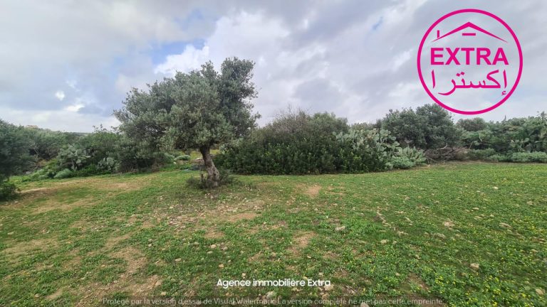 78eme campagne &agrave; somaa