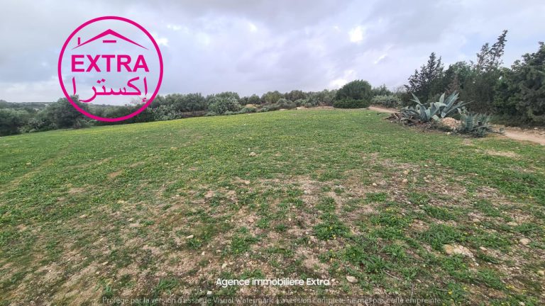 78eme campagne &agrave; somaa