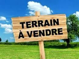 Terrain vertor t1902