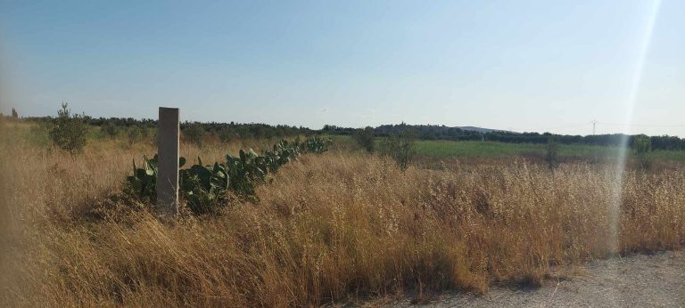 8 titres de 1 hectare sur route principale utique