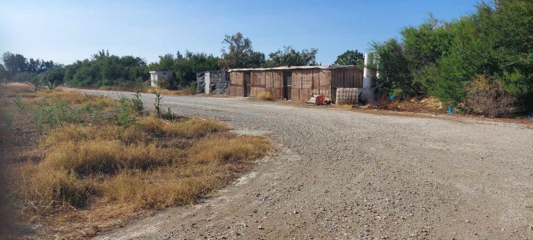 8 titres de 1 hectare sur route principale utique